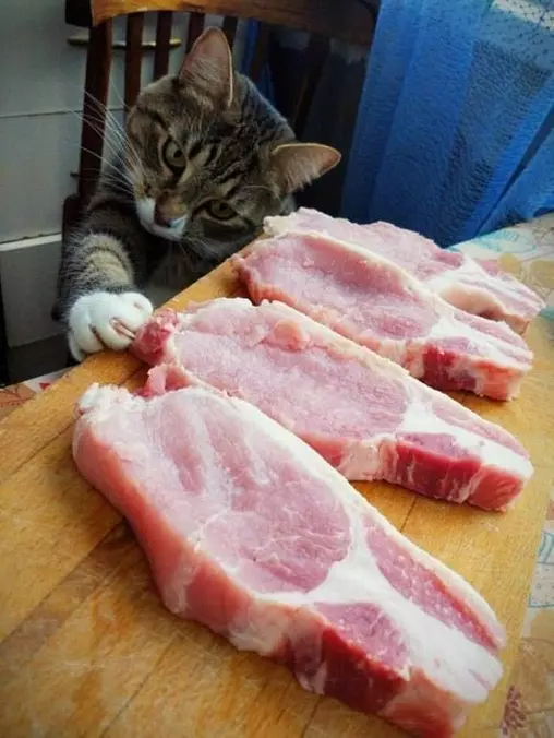 I Want To Eat These Please