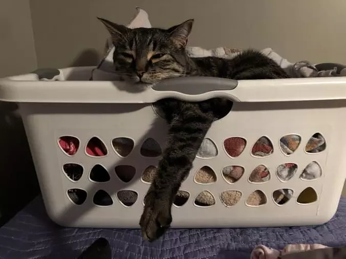 This Is So Comfortable