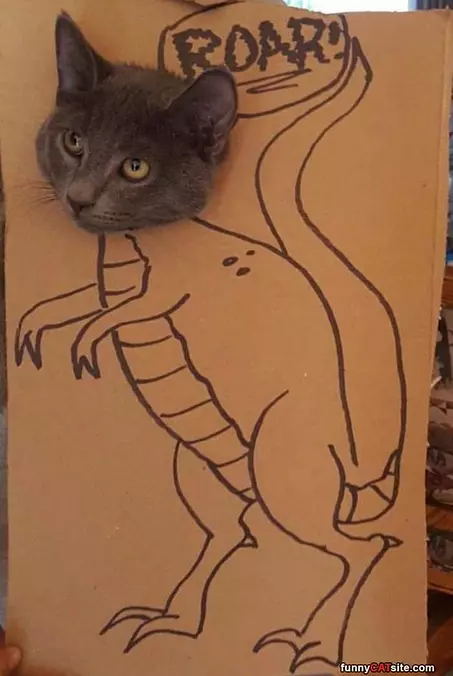 Roar