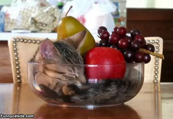 Mixed Fruit