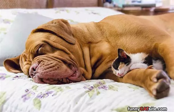 I Will Keep You Safe