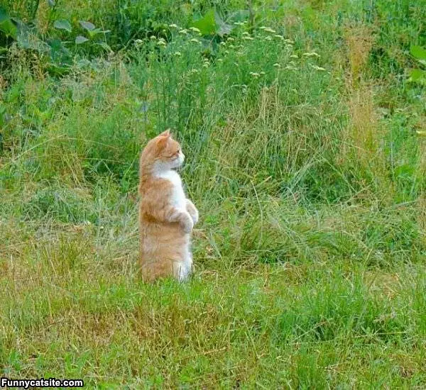 I Can See So Far Now