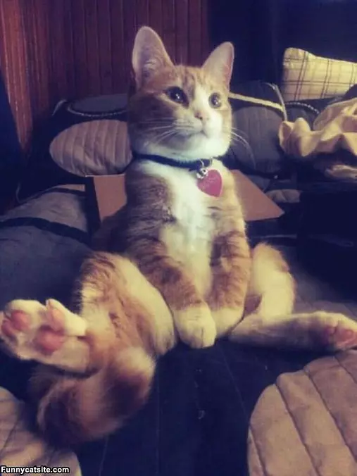 How I Sit Around