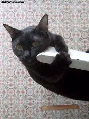 Hanging On