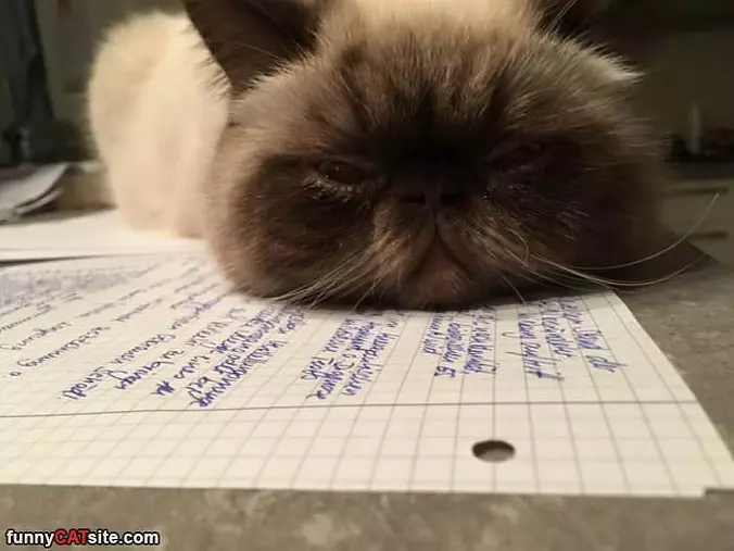 This Homework Is Boring