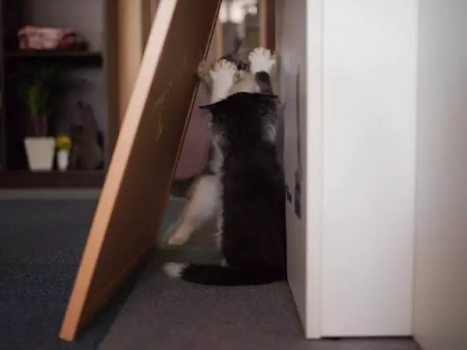 High Fives