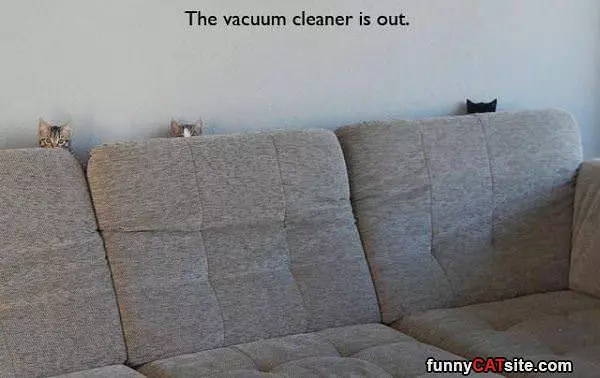Hiding Behind The Couch