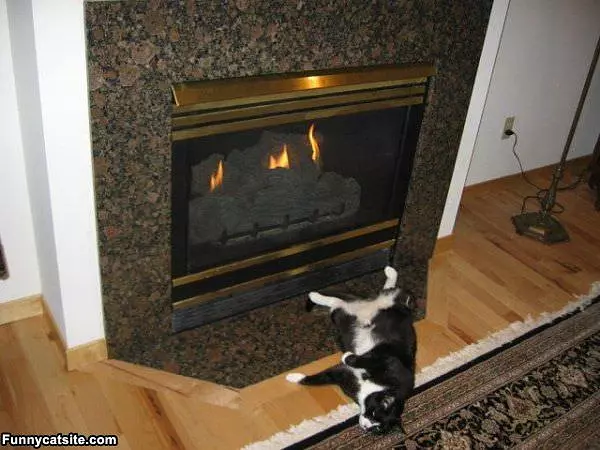 This Is Where Its Warm