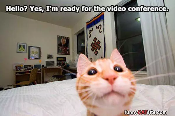 I Am Ready Now