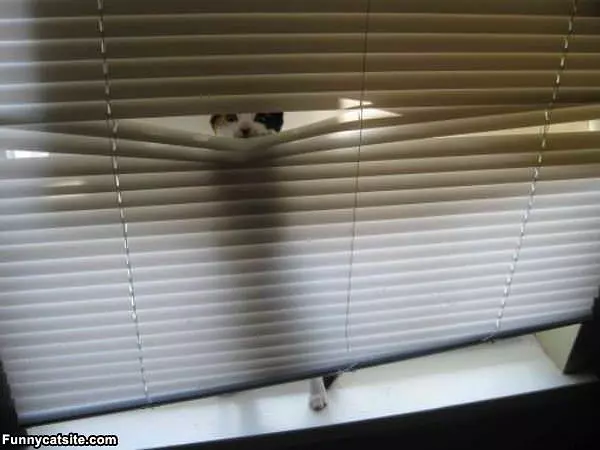 I See You There