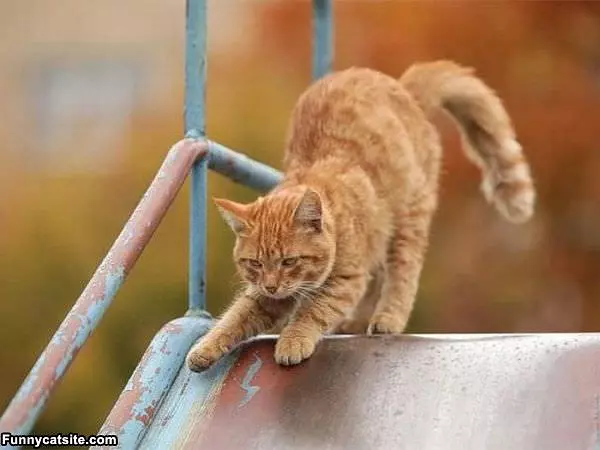 No Sliding For Me