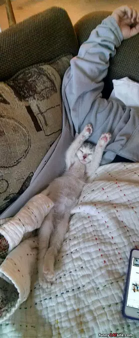 Dreaming Big