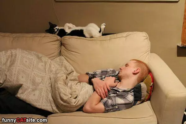 We Are Taking Naps
