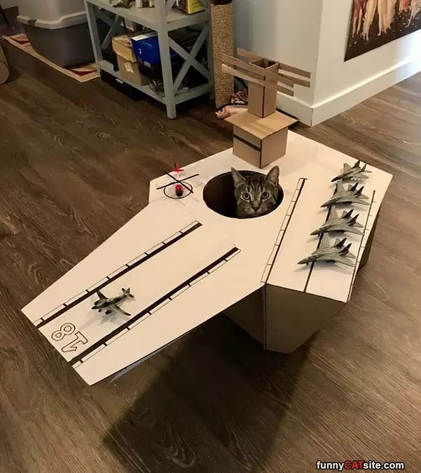 Battleship