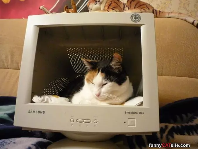 This Is My Computer Now
