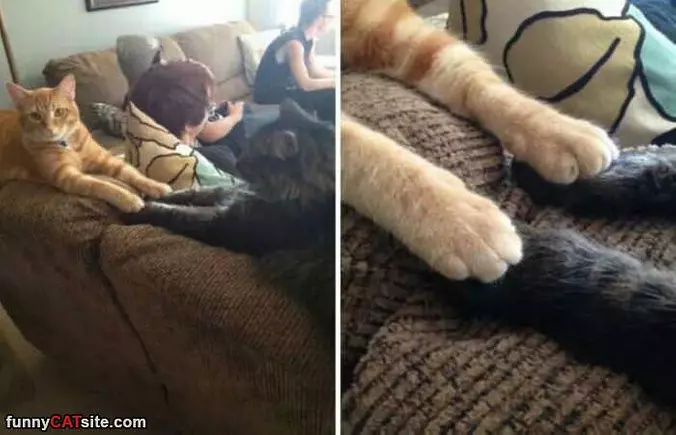 Holding Hands