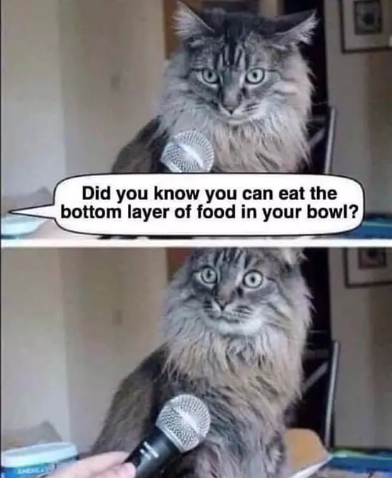 Did You Know