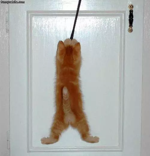 Swinging Around