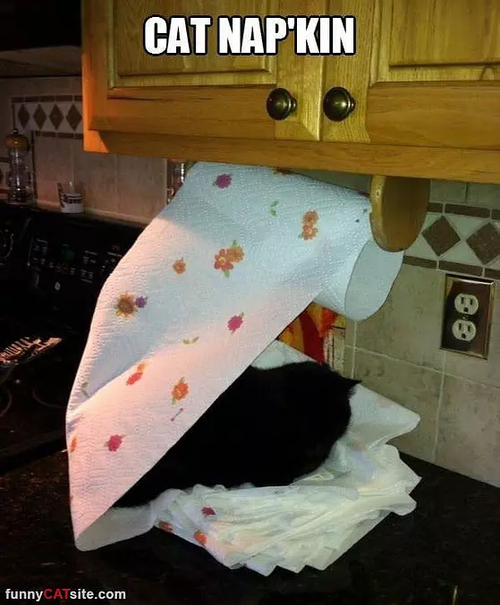 Cat Napkin
