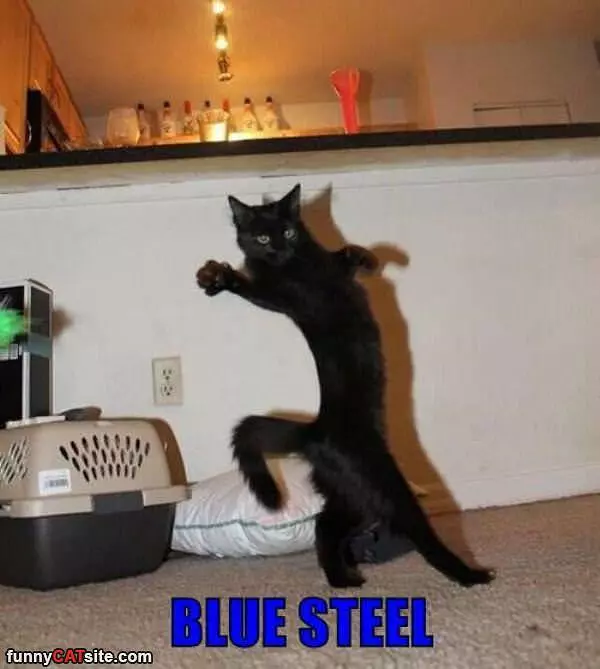 Blue Steel