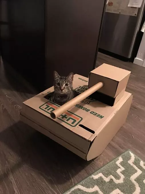 I Am Tank Kitty