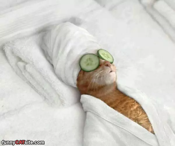 Spa Day