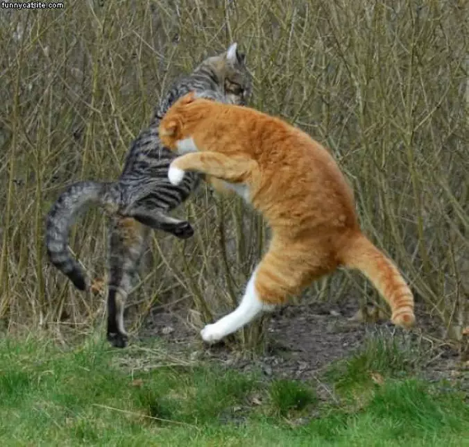 Double Jump Attack
