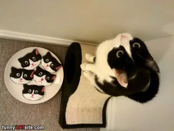 Thats Not Funny