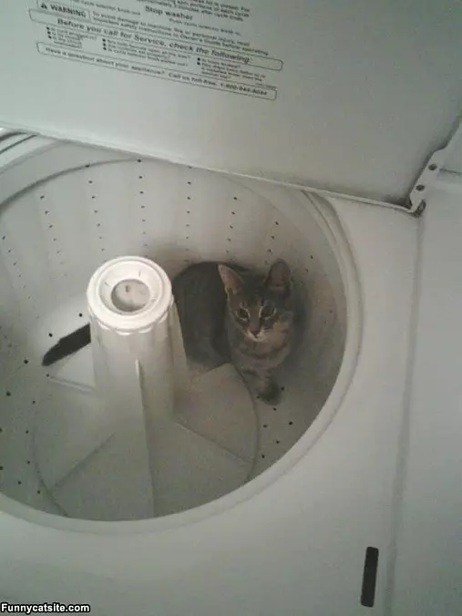 Here For A Wash
