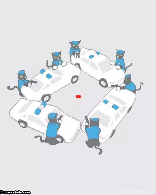 Got The Red Dot Surrounded