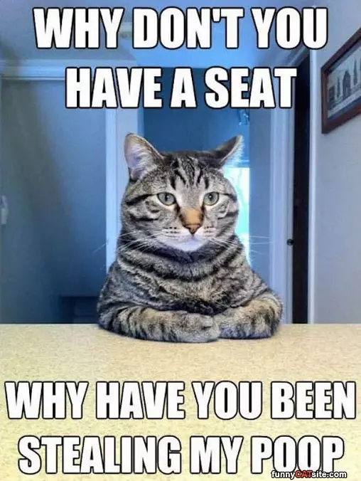Please Have A Seat
