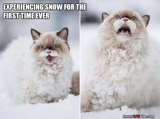 First Time Snowing