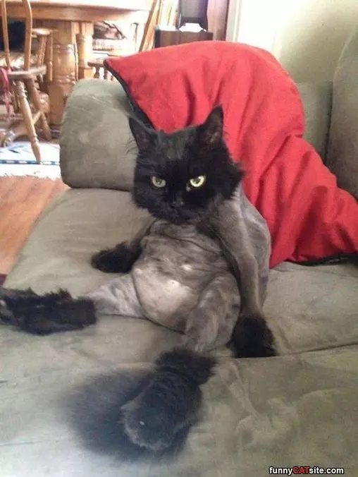 Cmon Dude