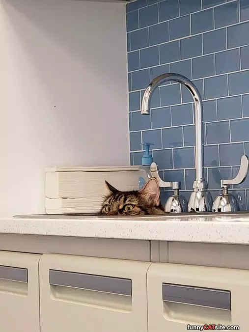 I Know How To Relax