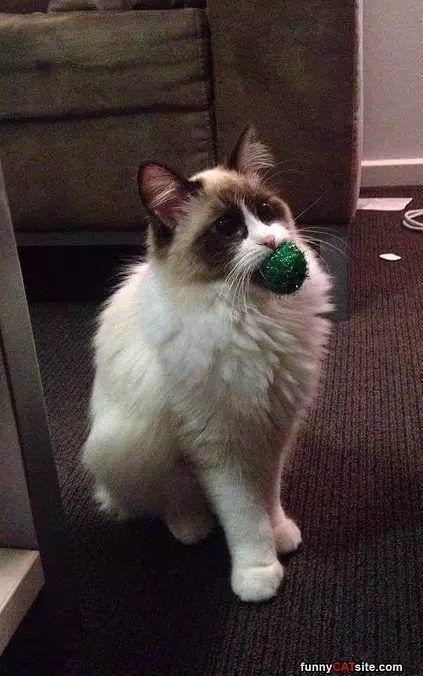 I Got This For You