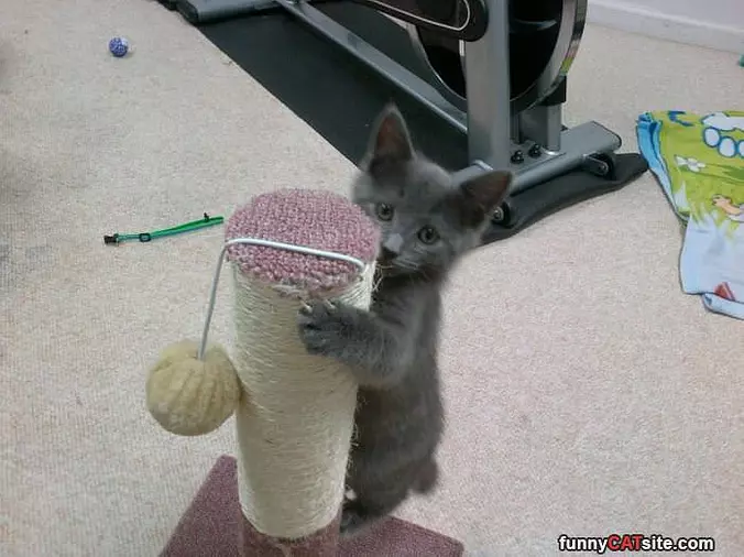 Playing And Having Fun