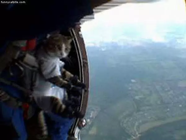 Ready To Jump