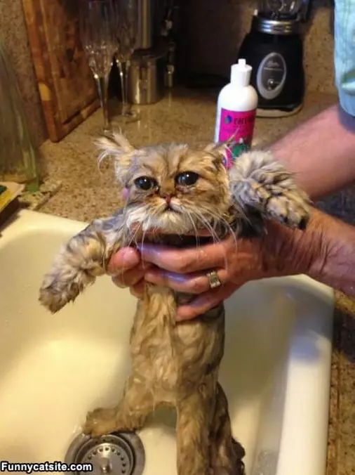 I Really Hate Baths