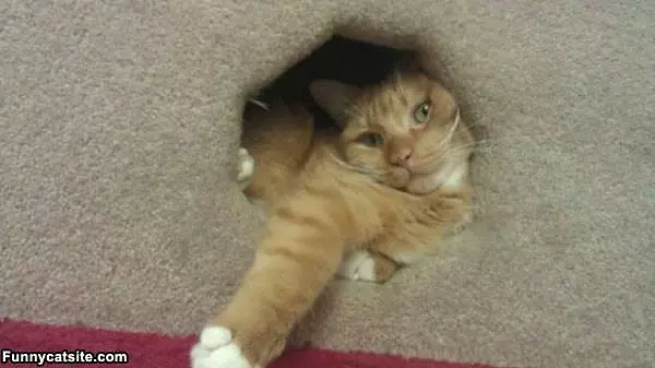 This Is How I Relax