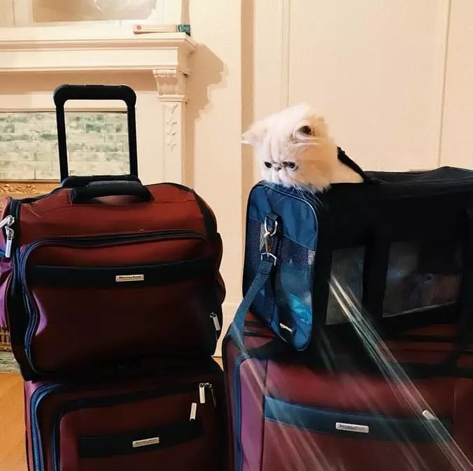 Ready For A Trip