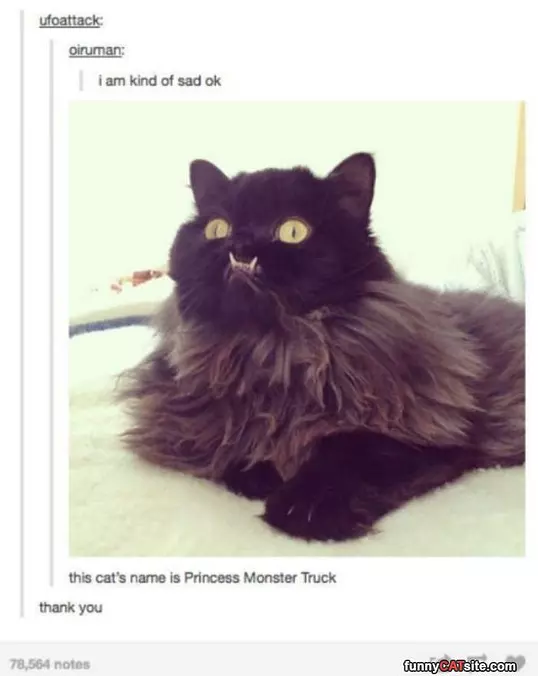 Princess Monster Truck