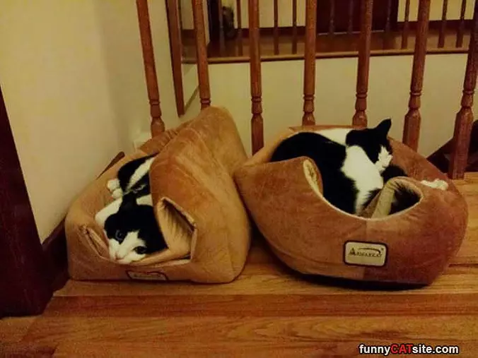 Is This How You Bed