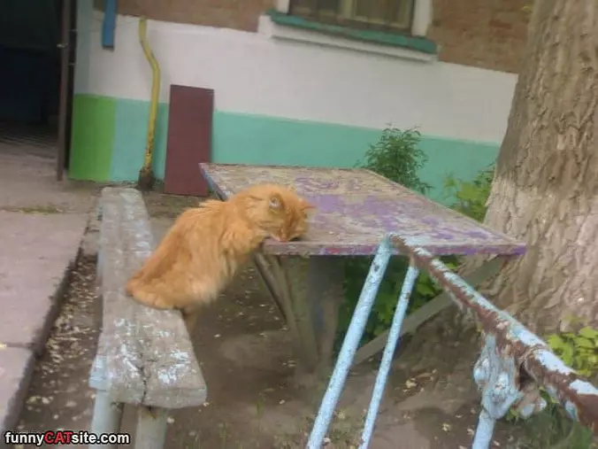 Hanging On The Table