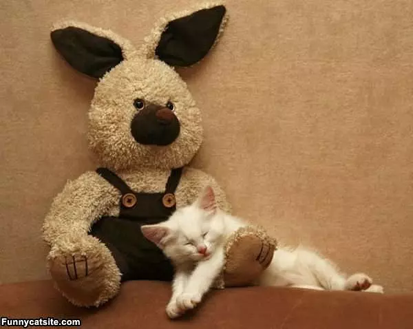Sleeping With My Bunny