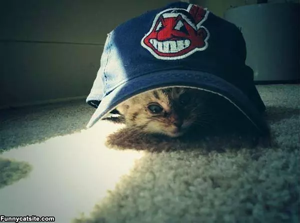 Ahh You Found Me