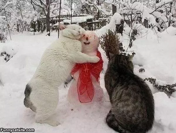 Lets Hug It Out