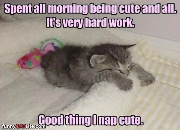 Spent All Morning