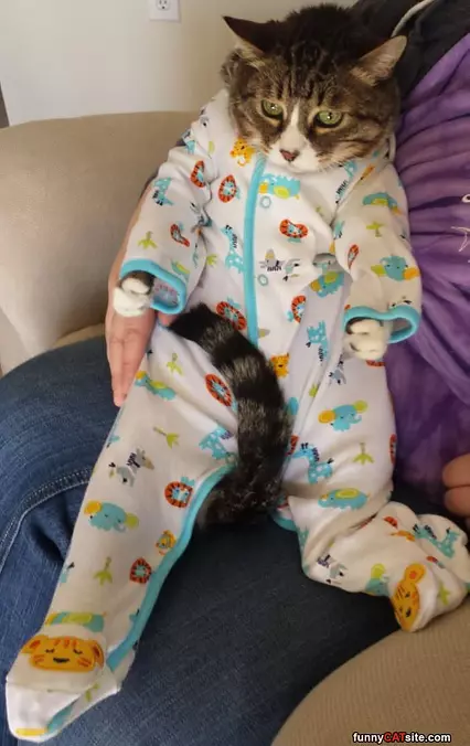 I Have My Pajamas On