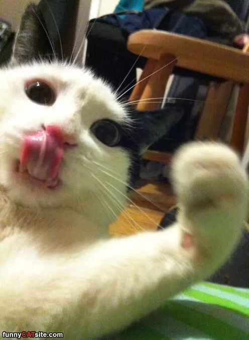 Get That Camera Out Of Here