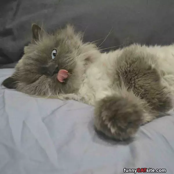 One Eye Open